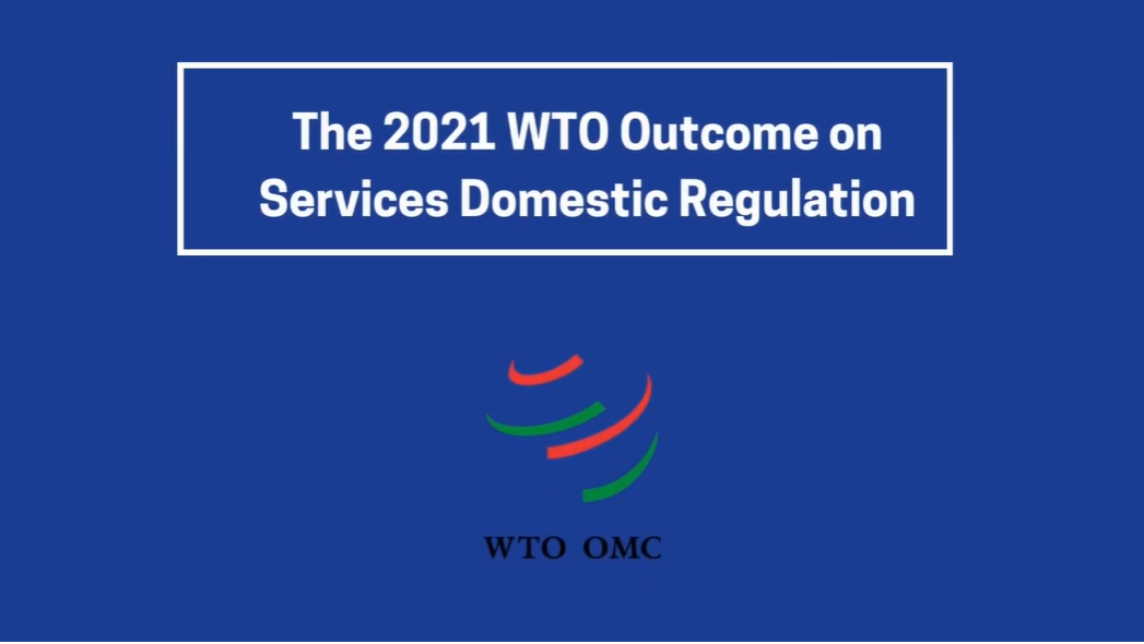 The 2021 WTO Outcome on SDR: Explanatory Video