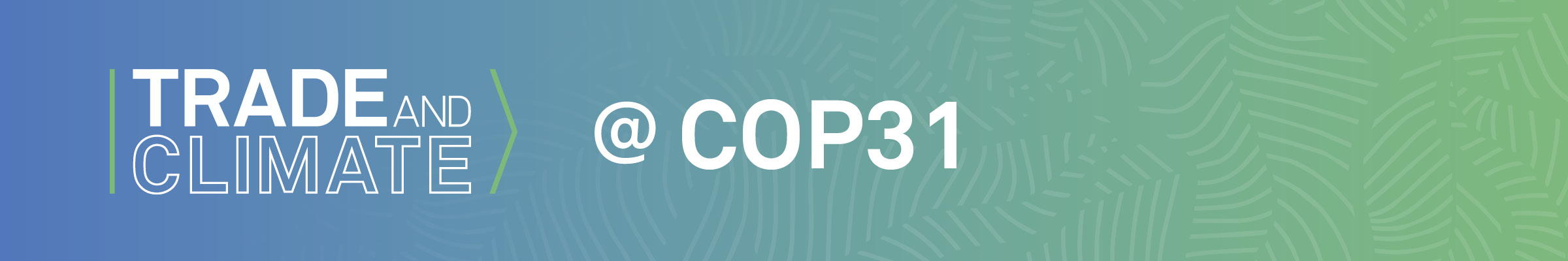 COP31 banner