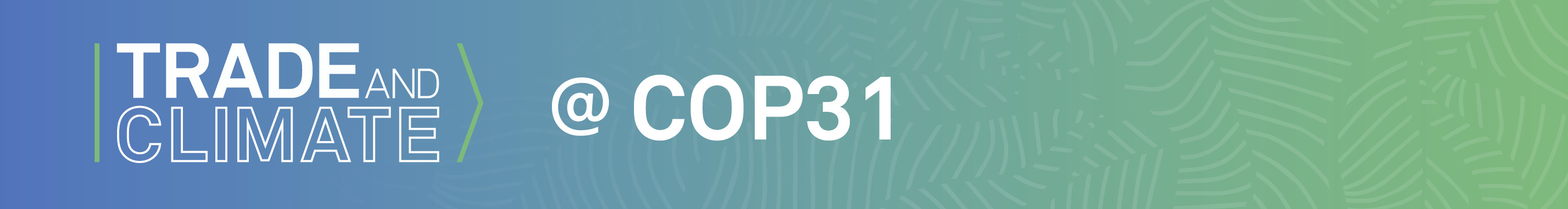 COP31 banner