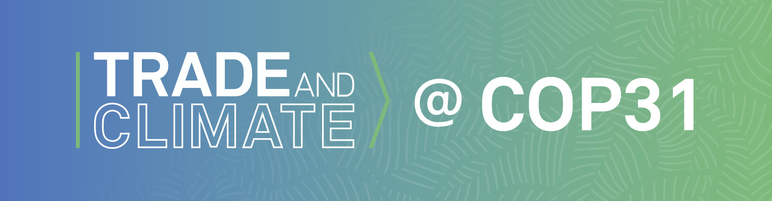 COP31 banner