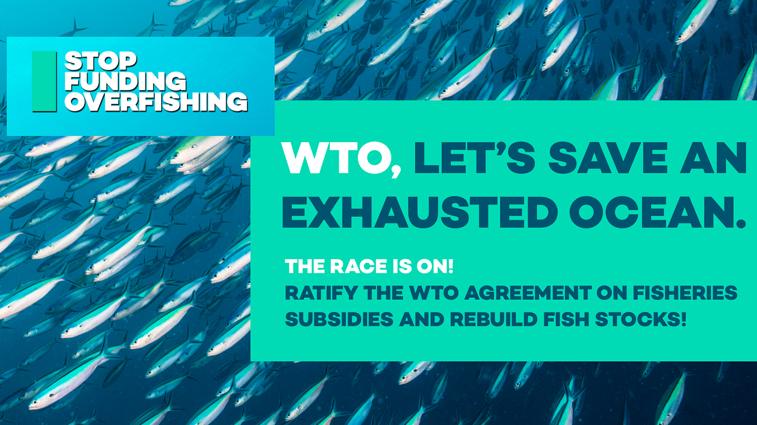 Stop funding overfishing