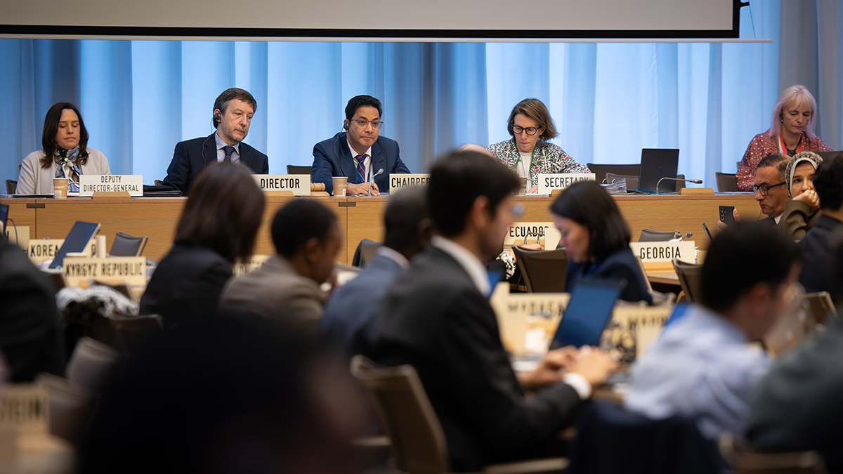 WTO members discuss professional qualification recognition and other services trade issues