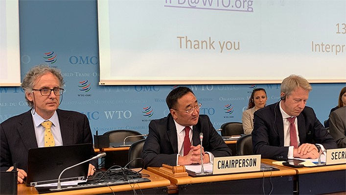 wto trips council meeting
