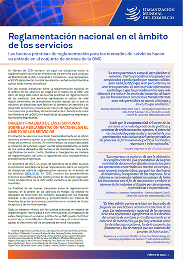 Factsheet on services domestic regulation