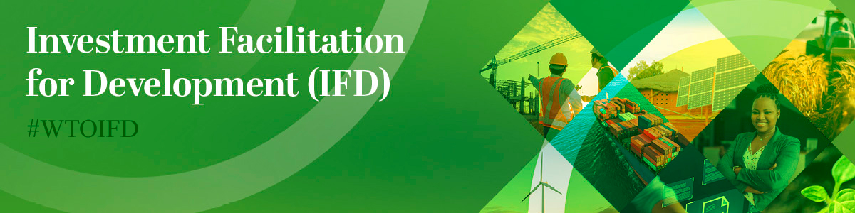 Investment facilitation for development banner