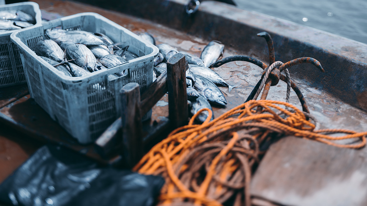 Fisheries Subsidies
